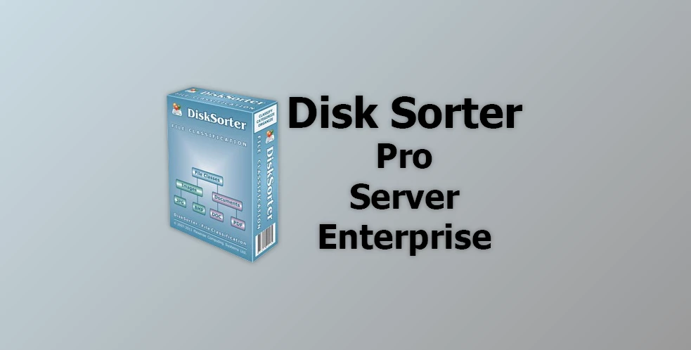 Disk Sorter